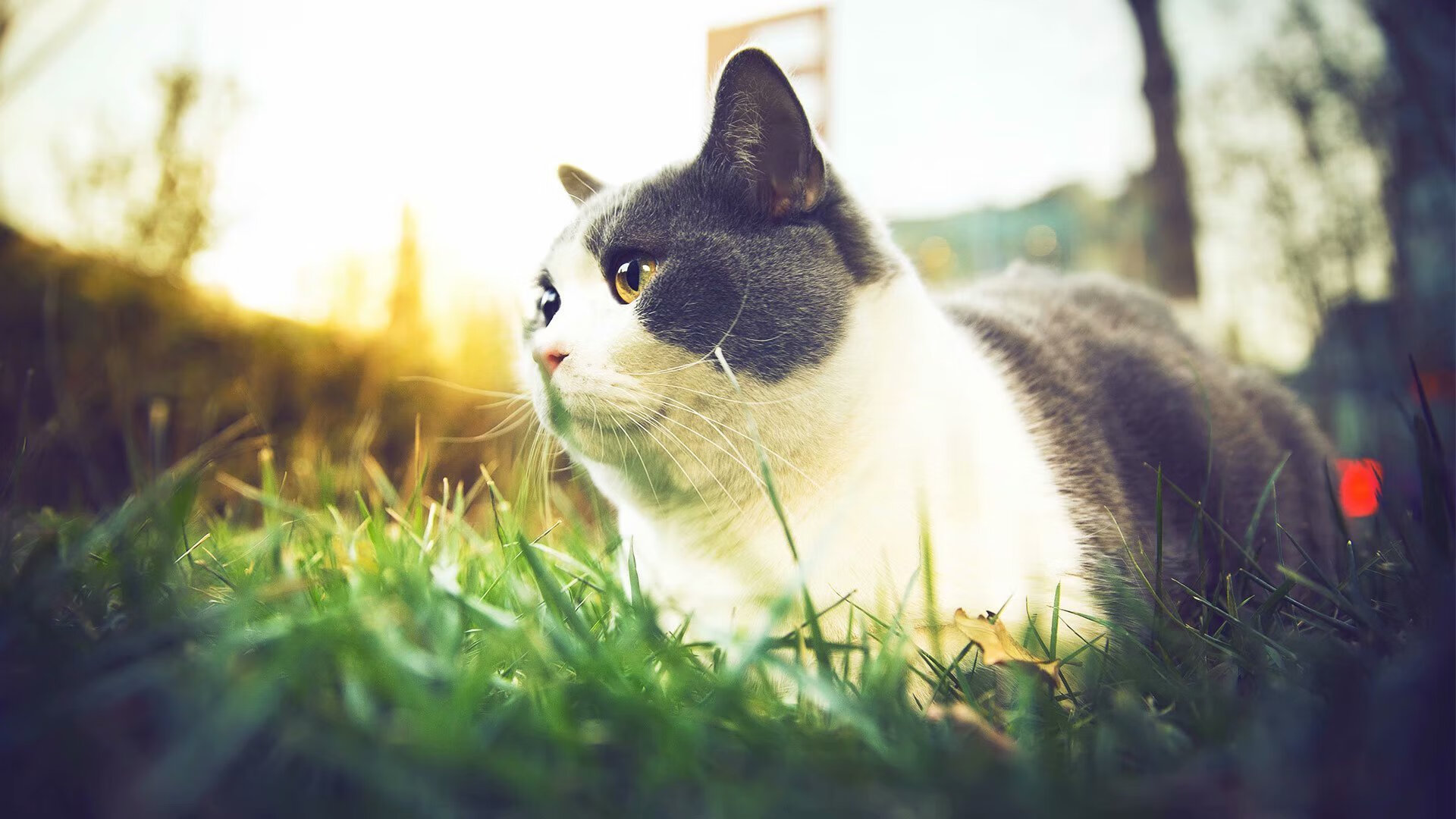 熊猫体育娱乐-_热火防守如铁，赢得关键胜利_，热火队防守