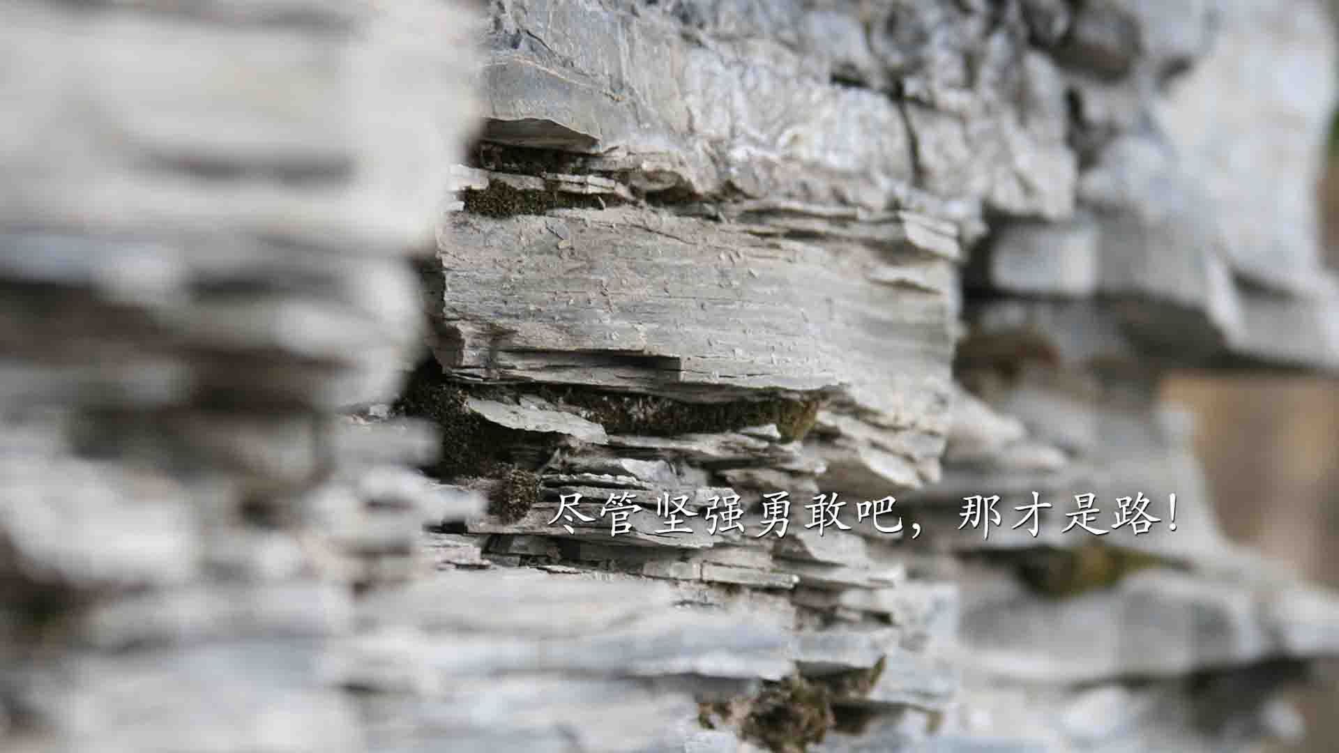 熊猫体育app下载-“青春绽放”青少年篮球主题文创大赛在上海圆满落幕，激发创意潜能