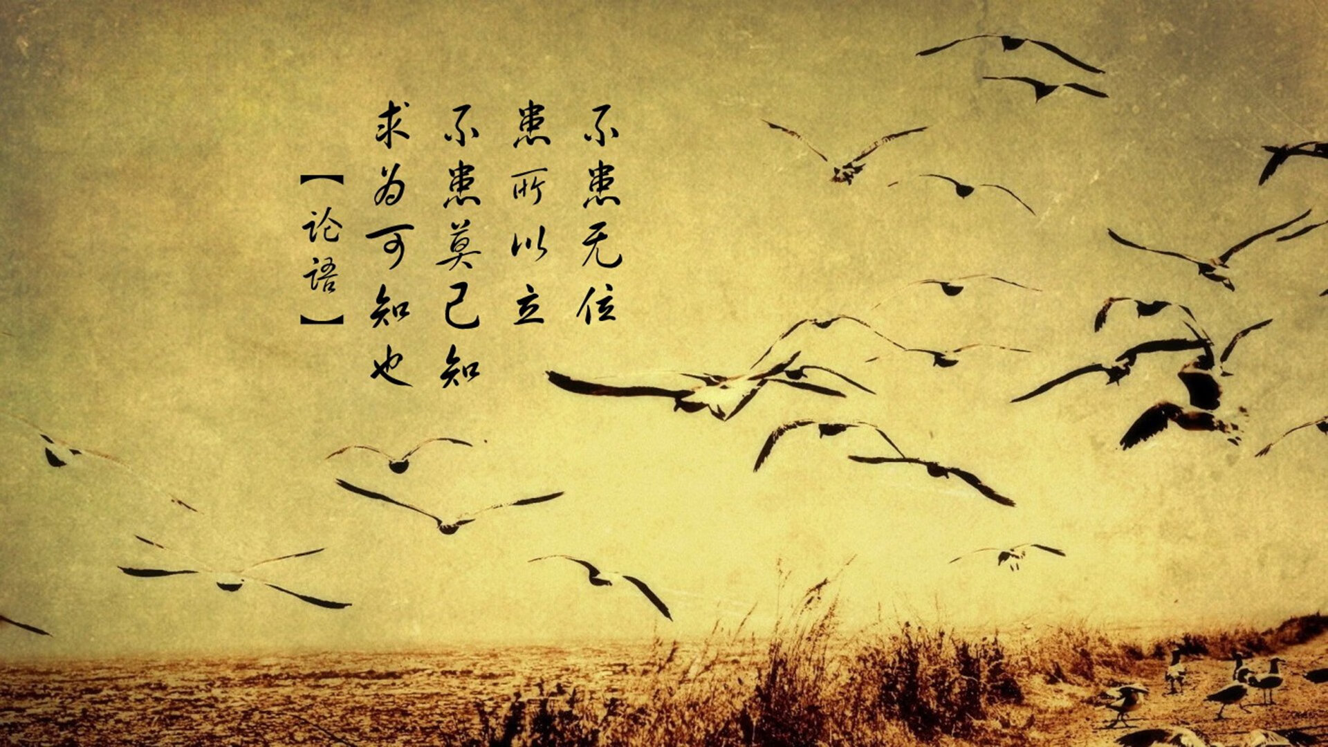 熊猫体育网站入口-美洲球队策划慈善晚宴，助力社会公益事业，美洲足球队