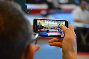 熊猫体育在线-中国篮球联赛市场细分与精准营销研究，全国篮球联赛优势