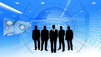 熊猫体育在线-体育赛事志愿者管理与服务质量提升研究,体育赛事志愿者管理流程