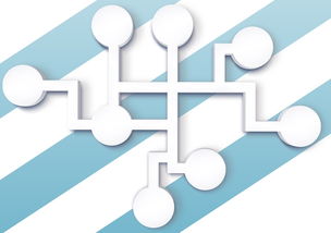 熊猫体育在线-体育赛事志愿者管理与服务质量提升研究,体育赛事志愿者管理流程