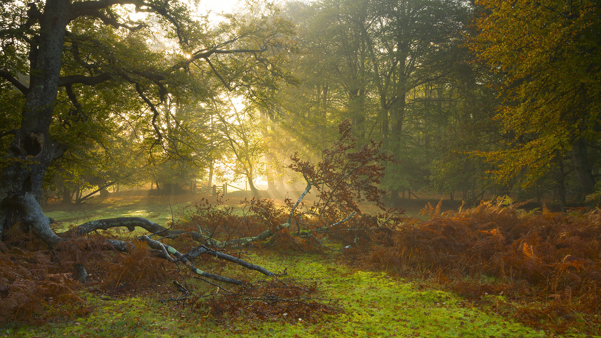 熊猫体育直播-后疫情时代:足球比赛的安全防控措施,足球比赛安全措施方案