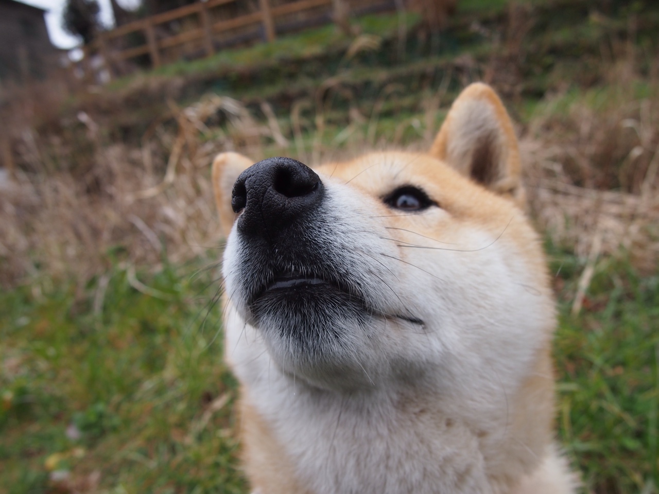 熊猫体育在线官网-后疫情时代:联赛如何保持赛事正常运营,联赛改革