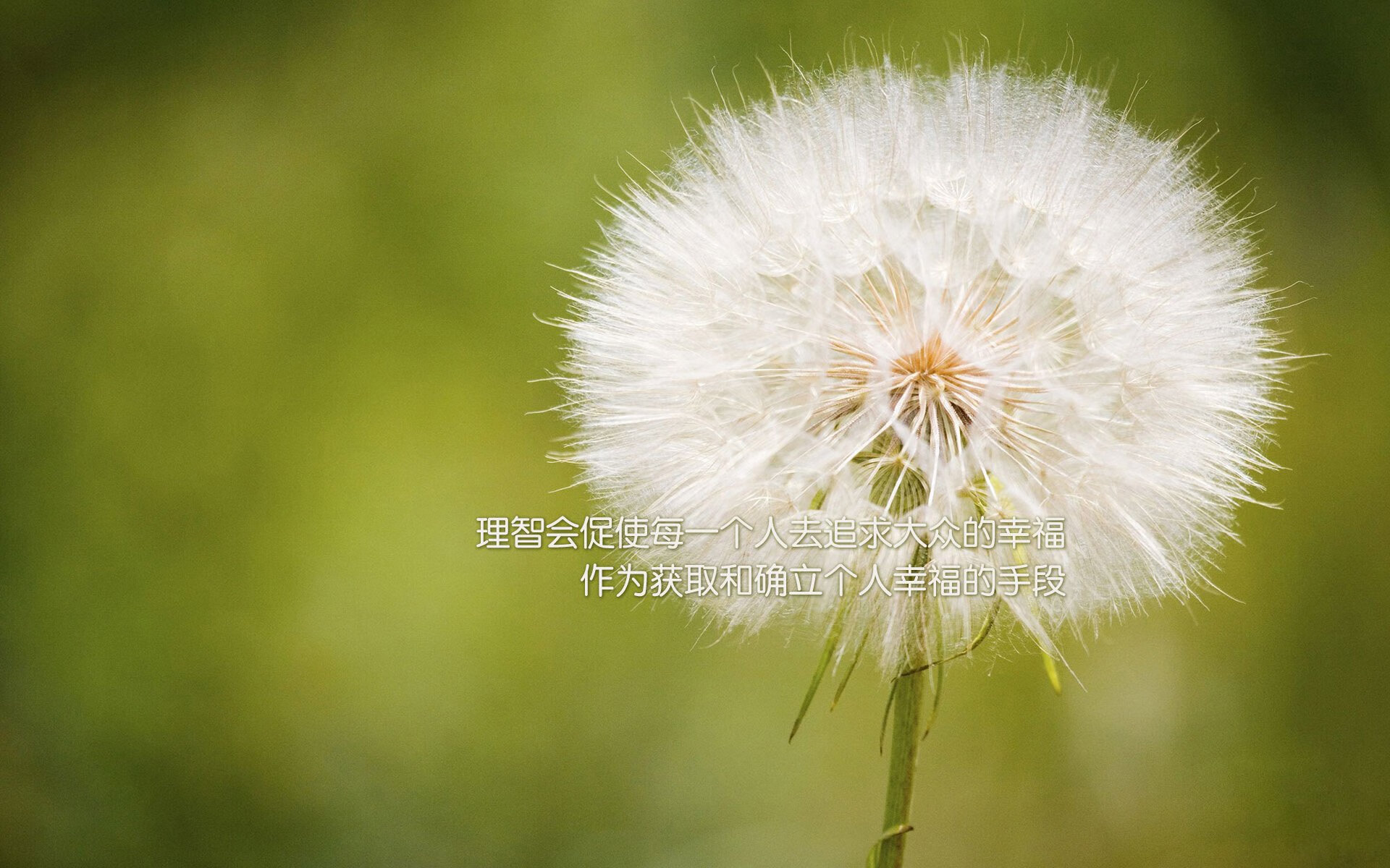 Panda Sports-校园体育文化活动的社会支持系统研究,校园体育文化的功能有哪些