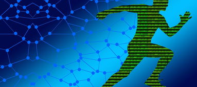 熊猫体育app官网-篮球赛事运营风险管理研究,篮球风险分析