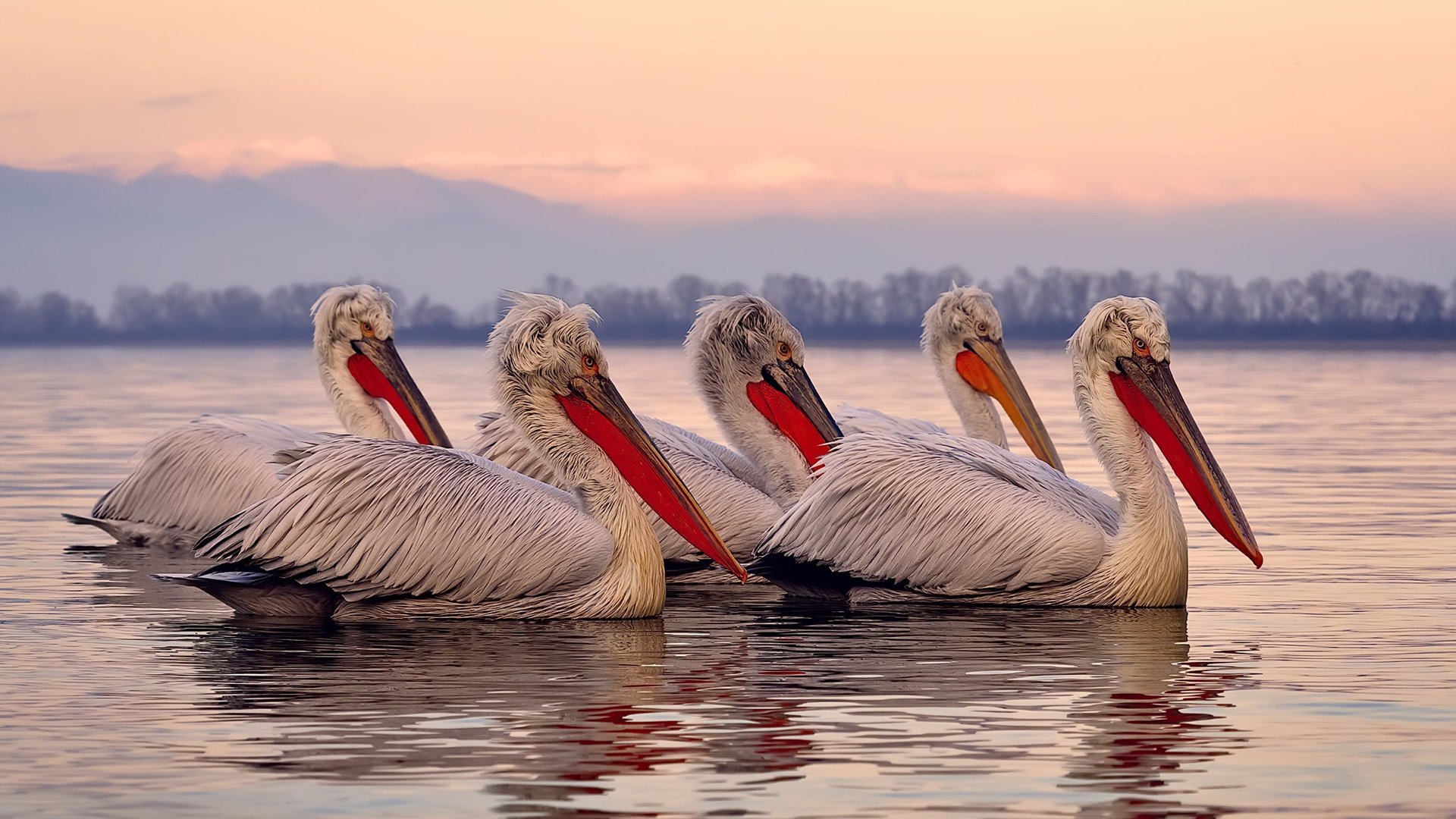 熊猫体育官网-篮球运动员比赛数据采集技术及战术分析应用,篮球比赛技术统计表格怎么看