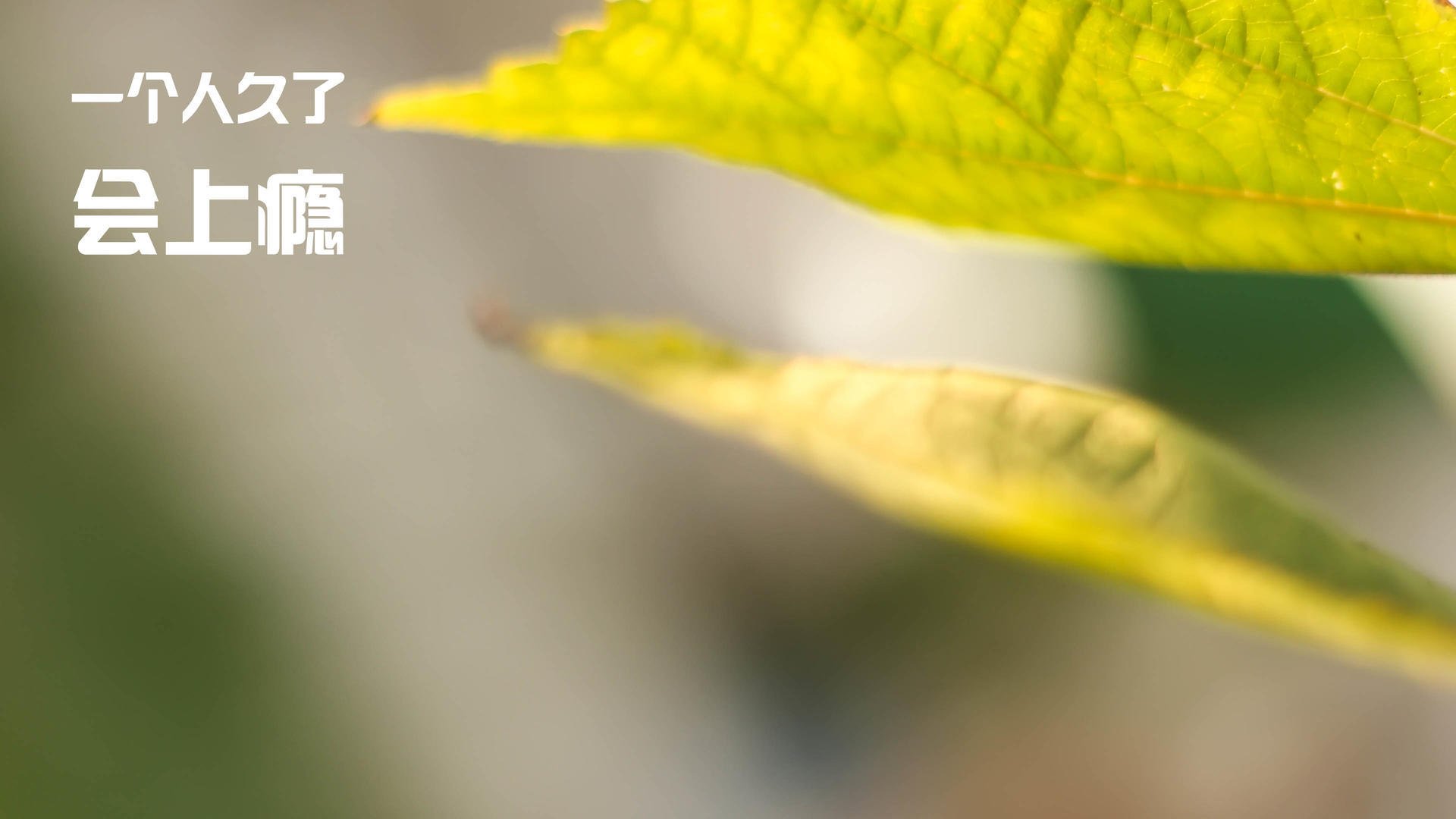 -中国三人篮球男队加强高位防守练习,中国男篮三人制