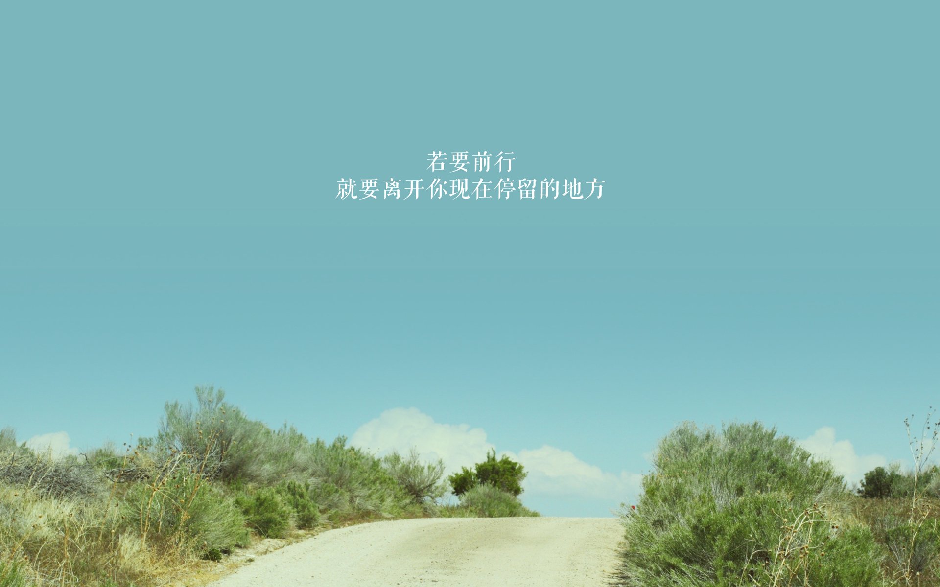 熊猫体育-校园篮球推广计划覆盖两千余所中小学，校园篮球开展