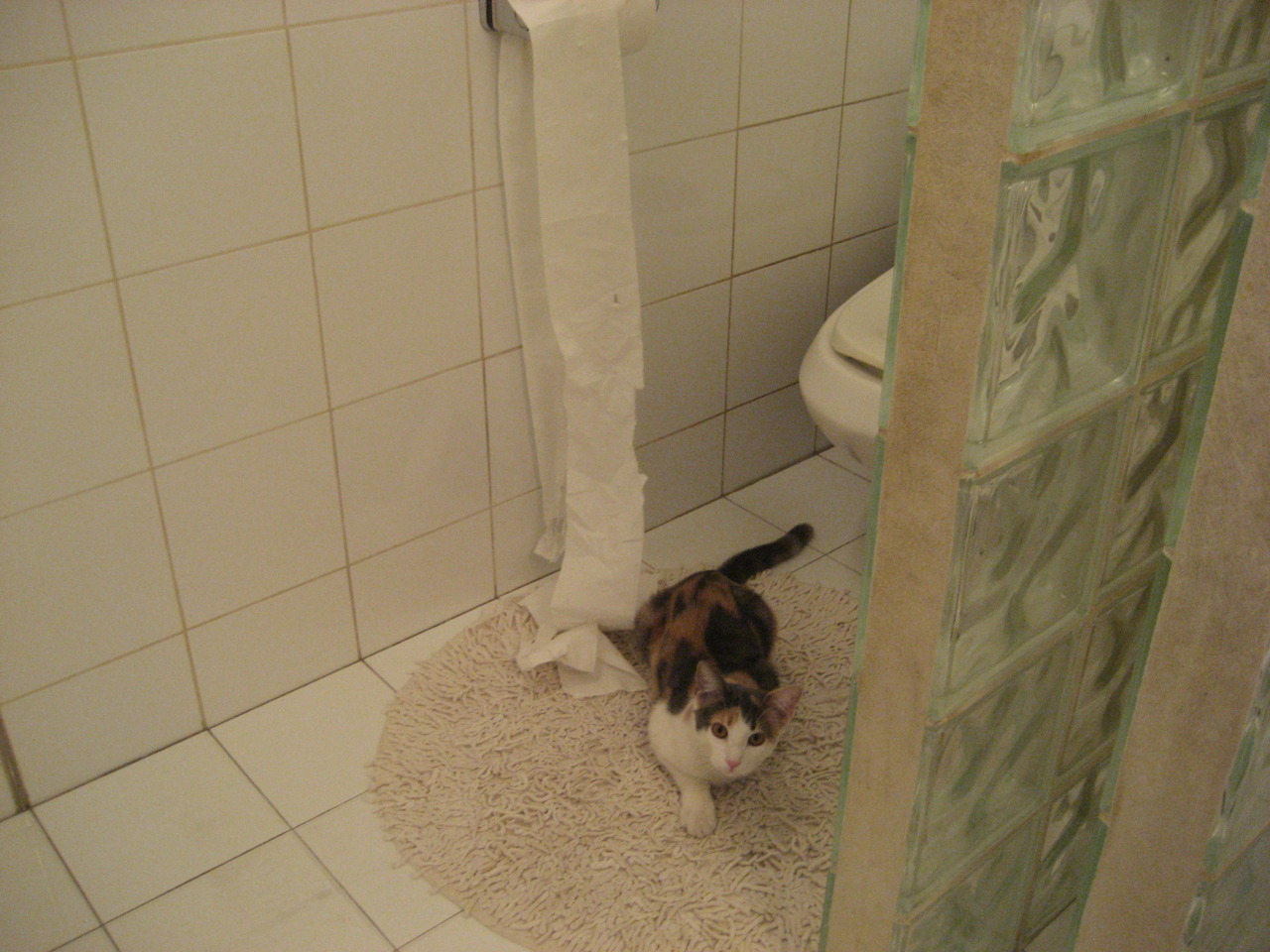 熊猫体育-李娜组织公益网球训练营覆盖多地,李娜网球训练视频