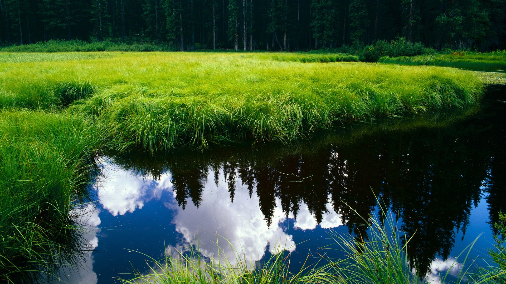 熊猫体育网站入口-欧洲杯史诗逆转:永不放弃的足球精神,欧洲杯的魅力