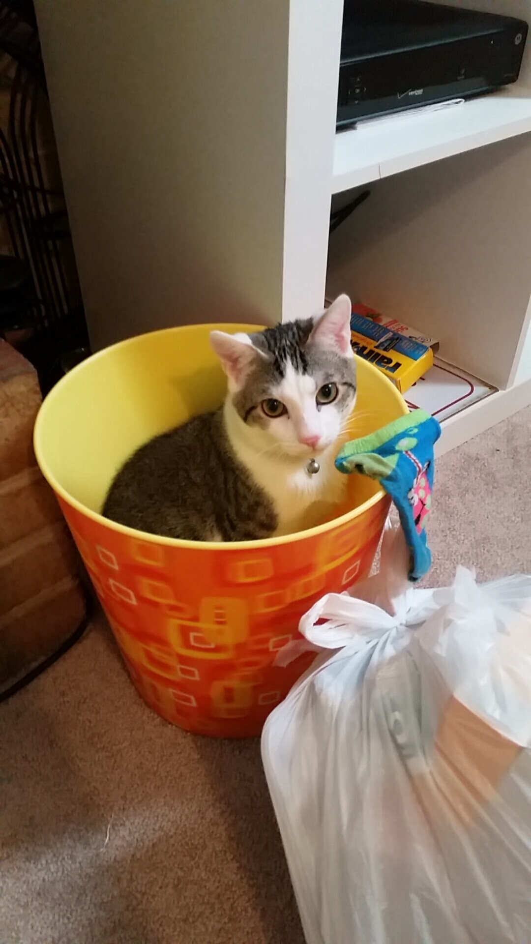 熊猫直播-王楚钦挑战世界第一迎来正面对决,王楚钦进入一队