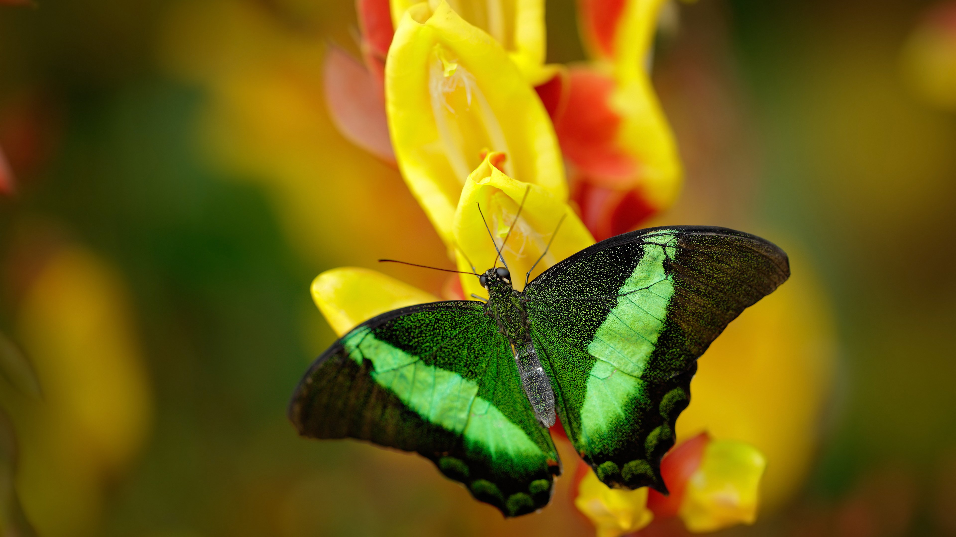 熊猫体育官网-职业联赛关注运动员职业规划助力退役后转型发展，职业运动员退役年龄
