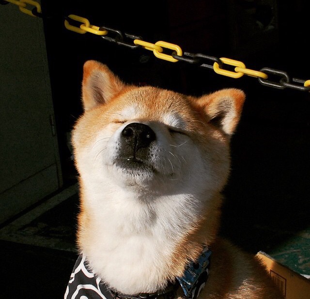 熊猫体育网址-赛季最佳进球排行榜更新,精彩镜头不断,nba赛季最佳进球