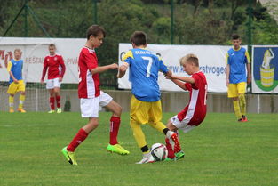 熊猫体育全站-足协推动足球普及教育走进中小学,足球推广学校